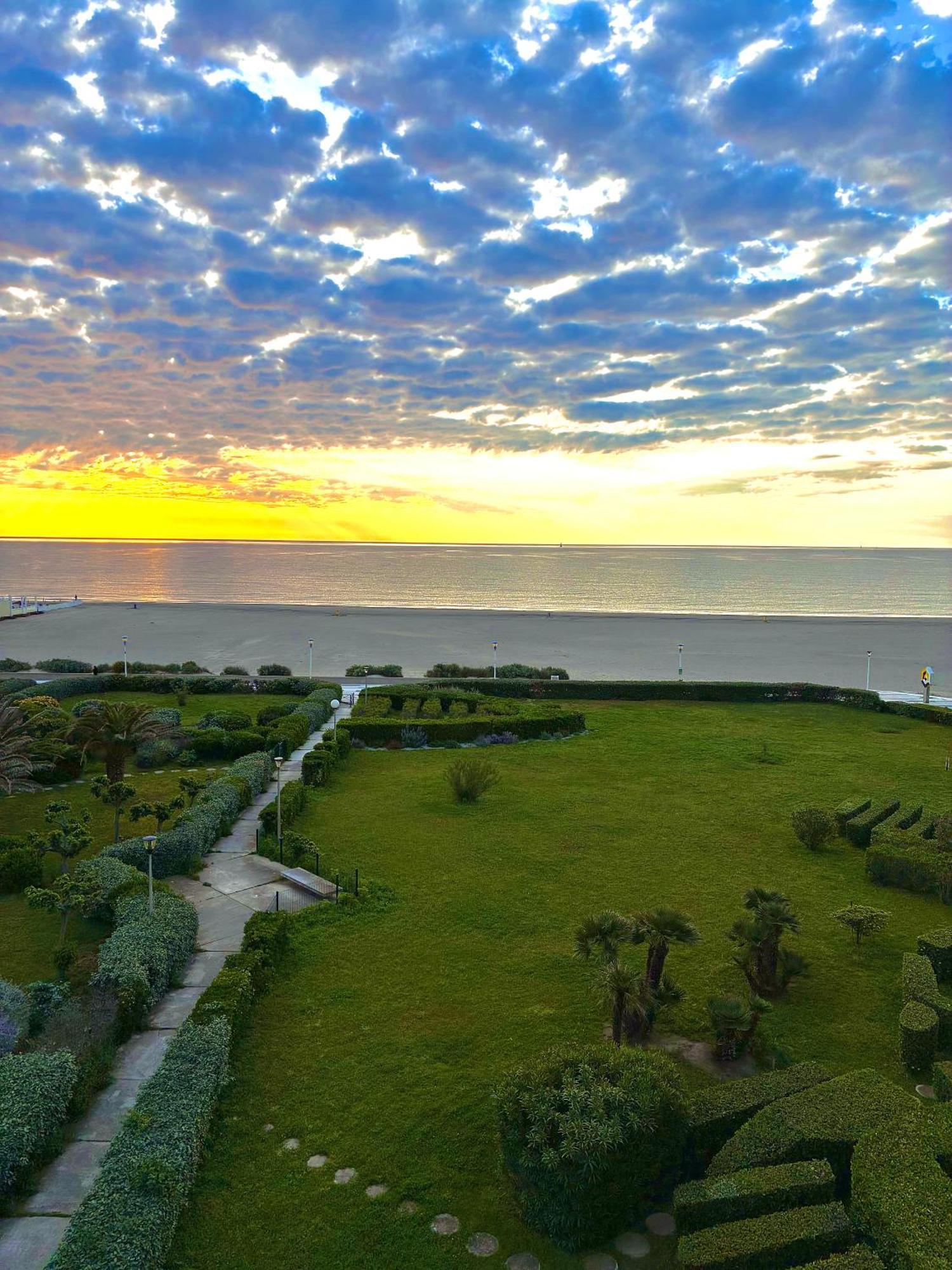 Studio Face A La Mer +Terrasse+ Parking Canet-en-Roussillon Eksteriør billede